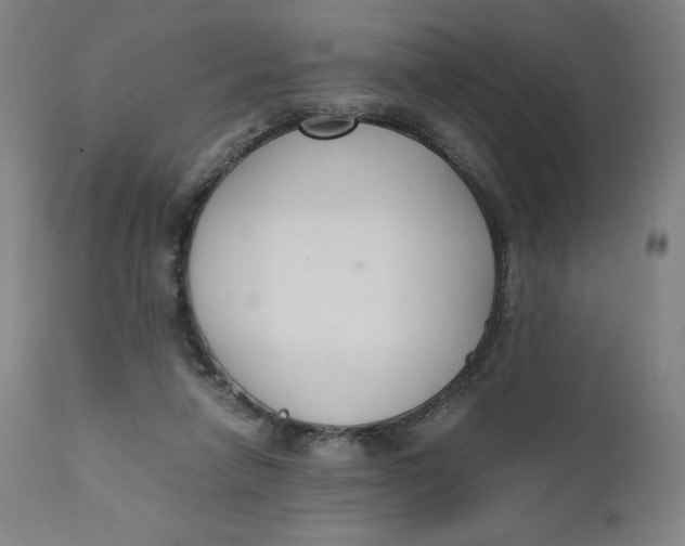 X0000110690258200907021940