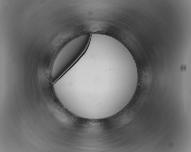 X0000110690260200907021940