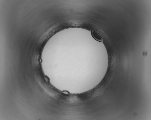 X0000110690262200907021940