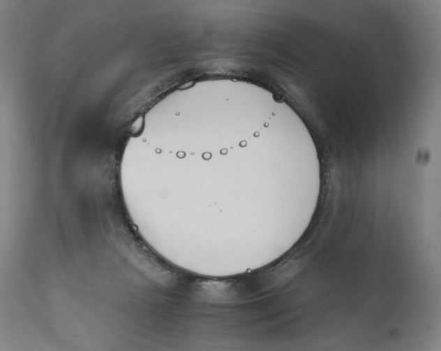 X0000110690265200907021941