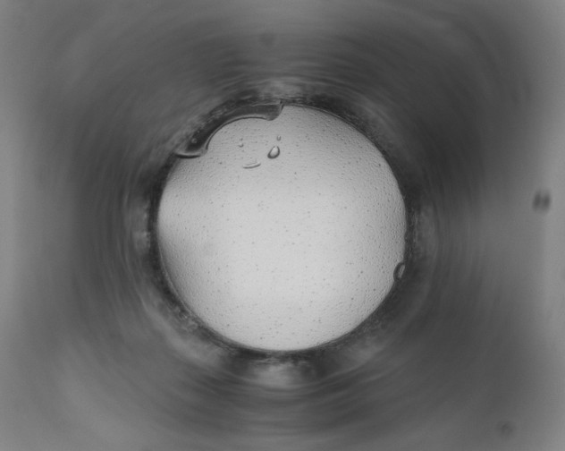 X0000110690267200907021941