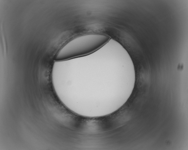 X0000110690268200907021941