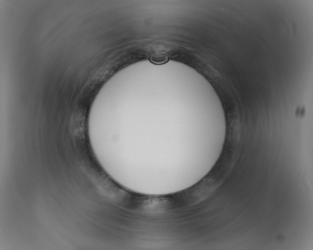 X0000110690274200907021941