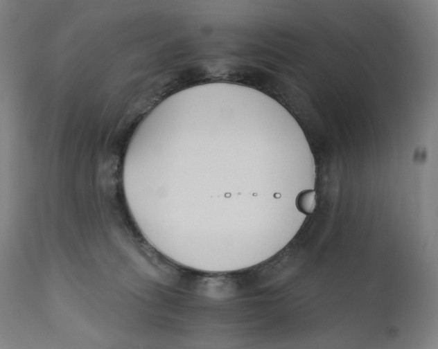 X0000110690275200907021941