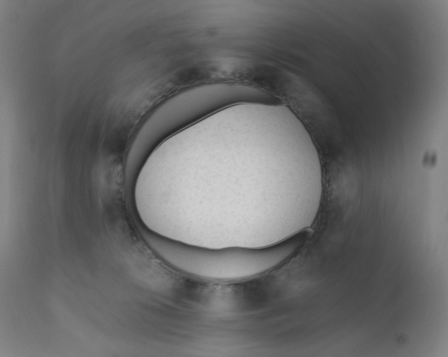 X0000110690276200907021941