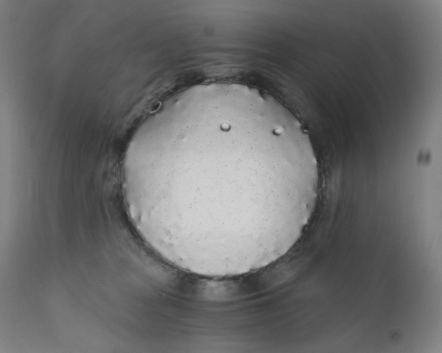 X0000110690277200907021941