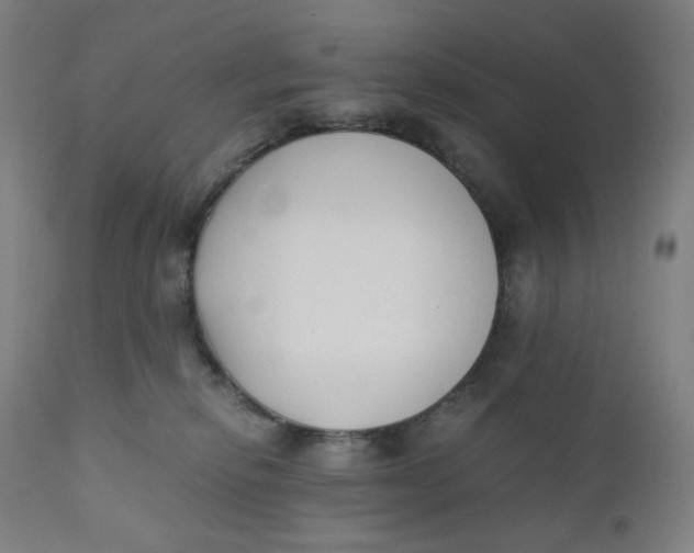 X0000110690278200907021941