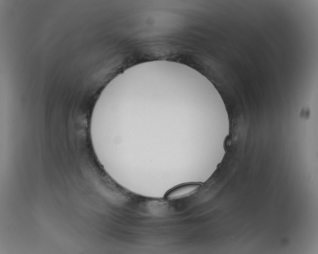 X0000110690279200907021941