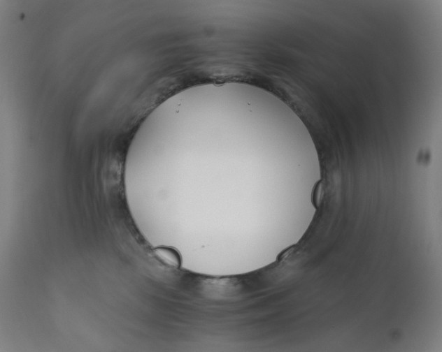 X0000110690281200907021941