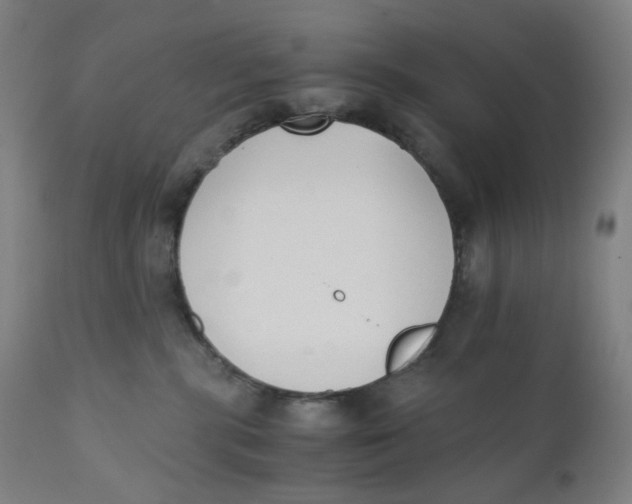 X0000110690283200907021941