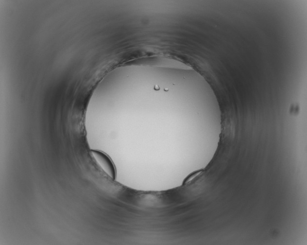 X0000110690285200907021941