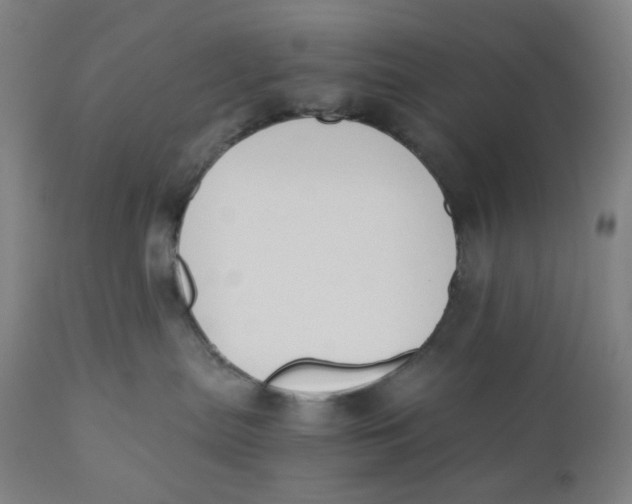 X0000110690287200907021941