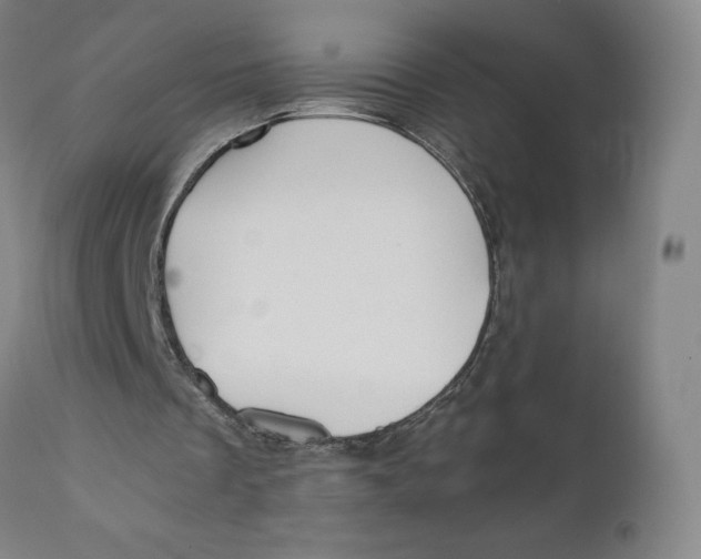 X0000110690289200907021940