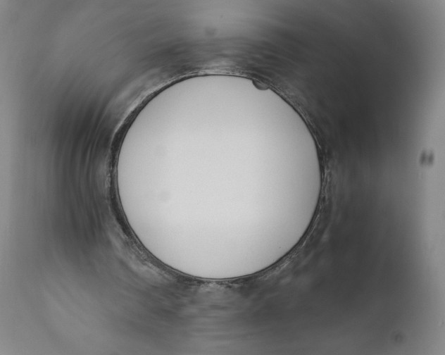 X0000110690290200907021940