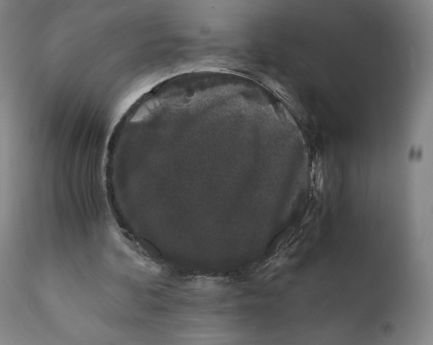 X0000110690292200907021940