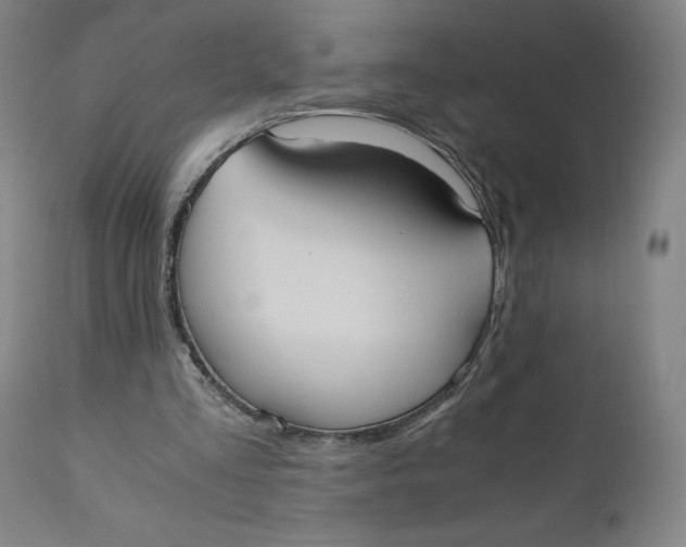 X0000110690293200907021940