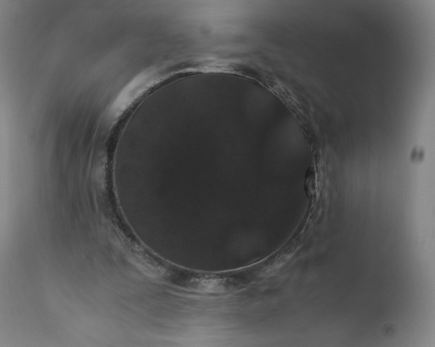 X0000110690295200907021940