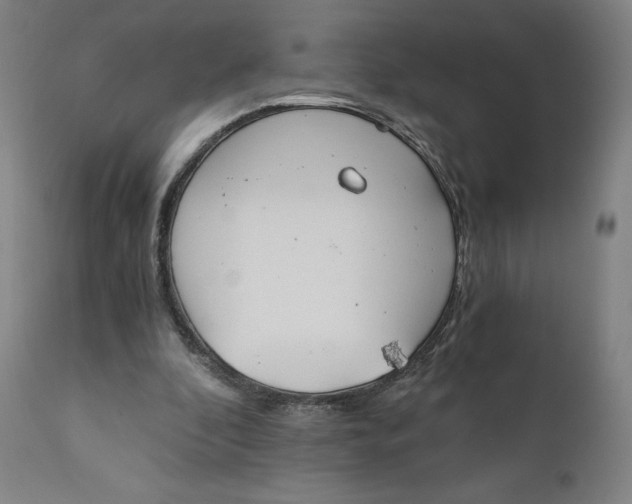 X0000110690296200907021940