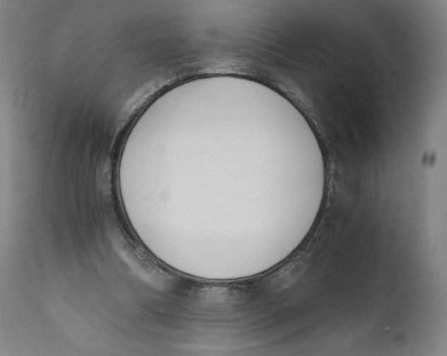 X0000110690298200907021940