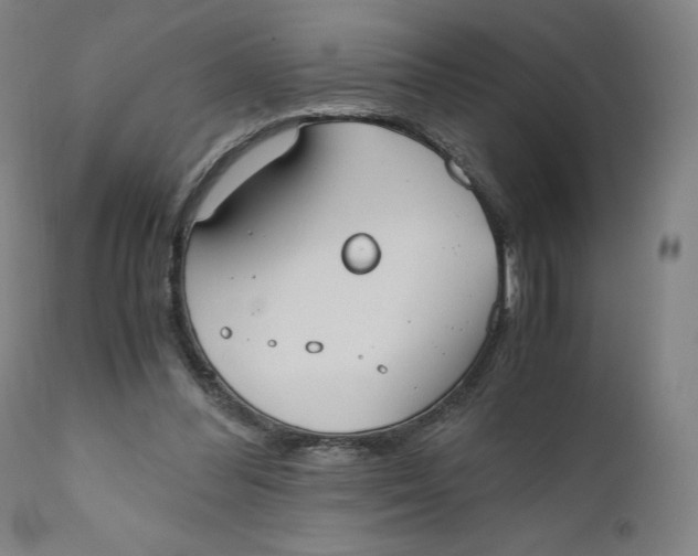 X0000110690300200907021940