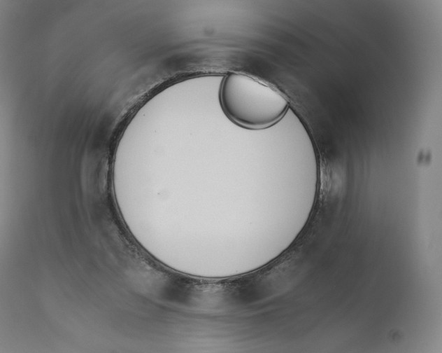 X0000110690301200907021940