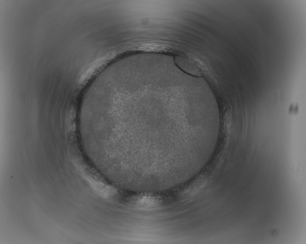 X0000110690303200907021940