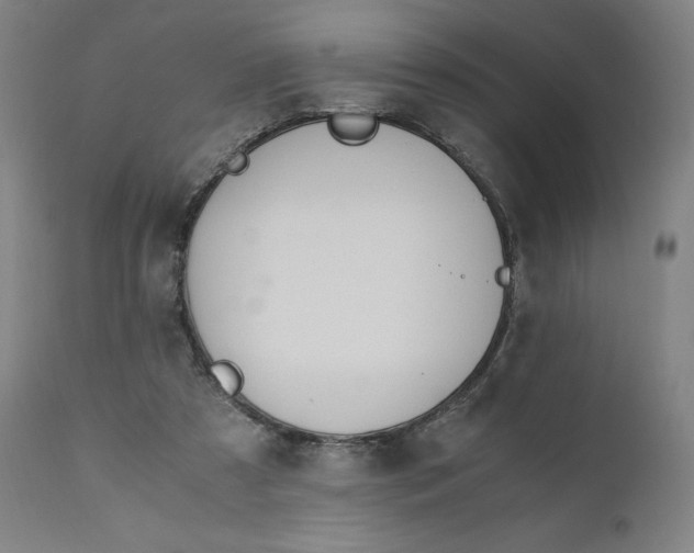 X0000110690305200907021940