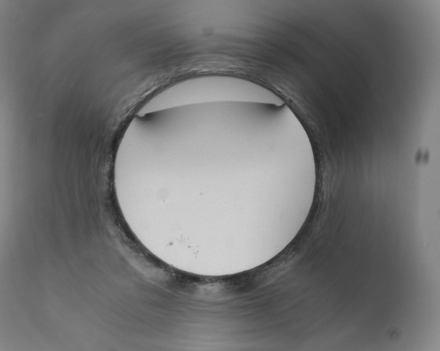 X0000110690309200907021940