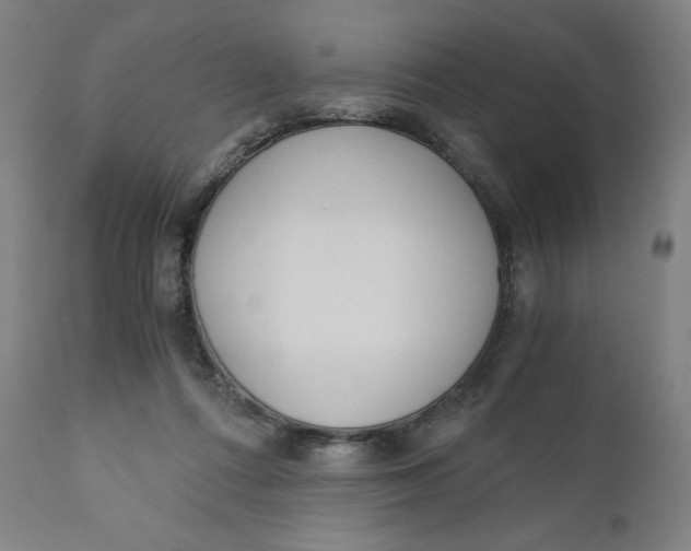 X0000110690312200907021940