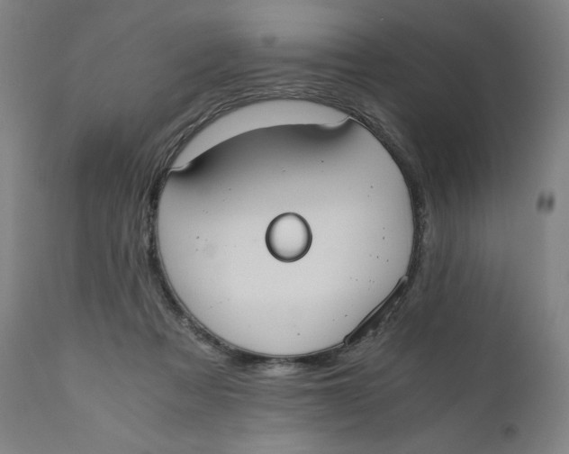 X0000110690313200907021940