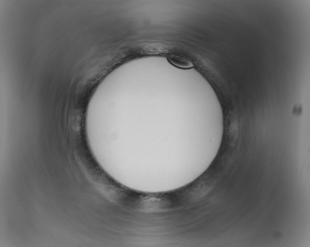 X0000110690315200907021940