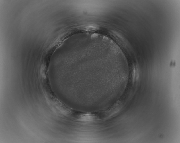 X0000110690316200907021940