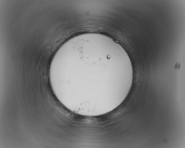 X0000110690317200907021940