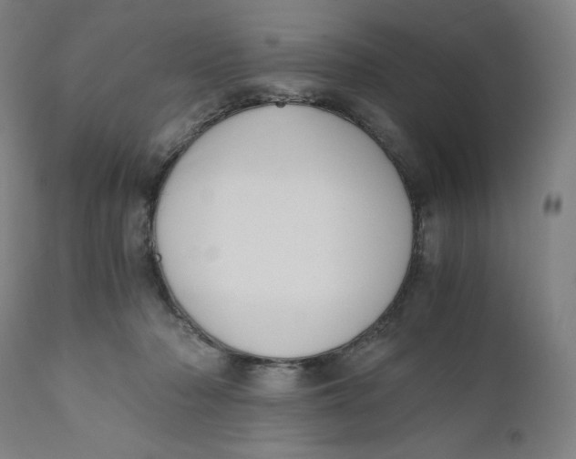 X0000110690318200907021940