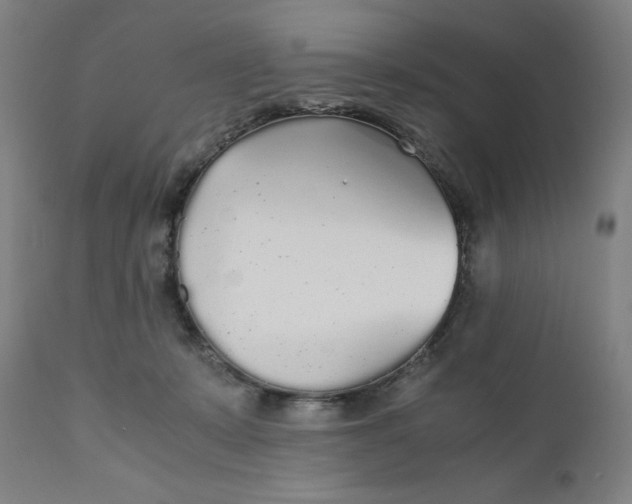 X0000110690319200907021940