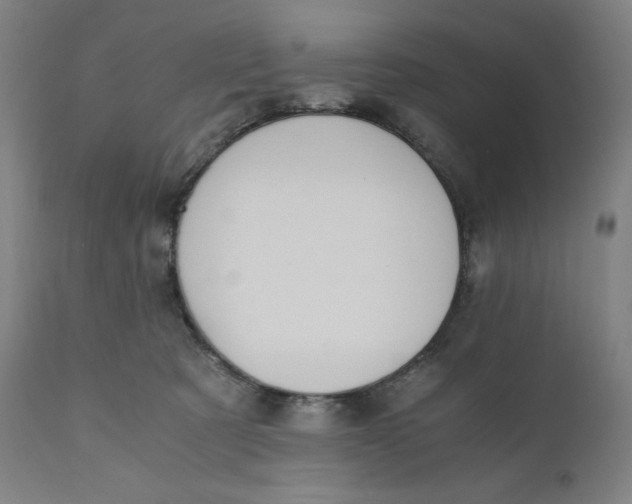 X0000110690321200907021940