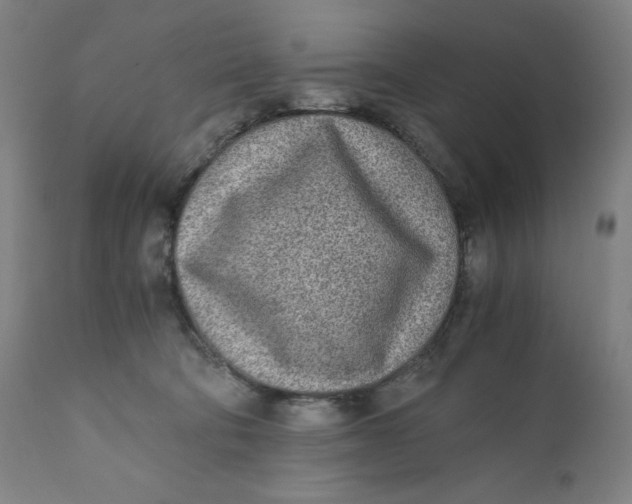 X0000110690322200907021940