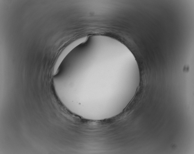 X0000110690325200907021939