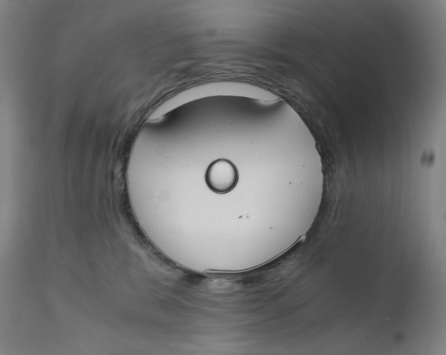 X0000110690327200907021939