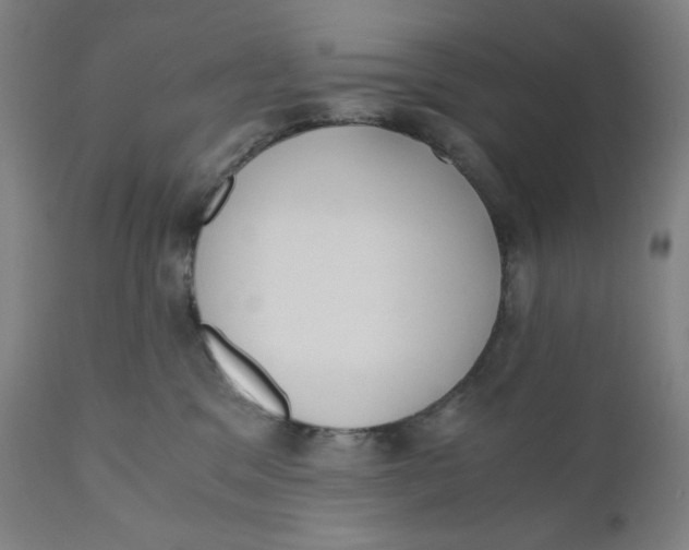 X0000110690329200907021939