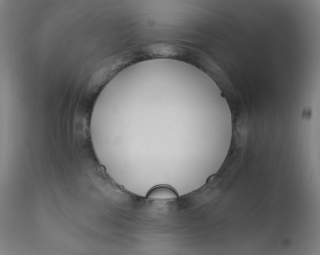 X0000110690330200907021939