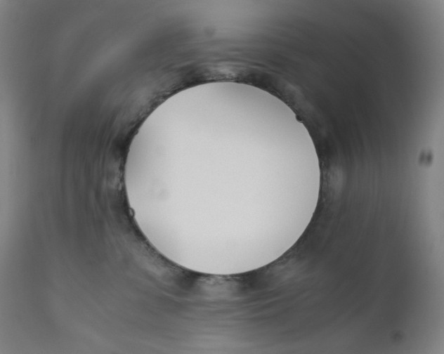 X0000110690331200907021939