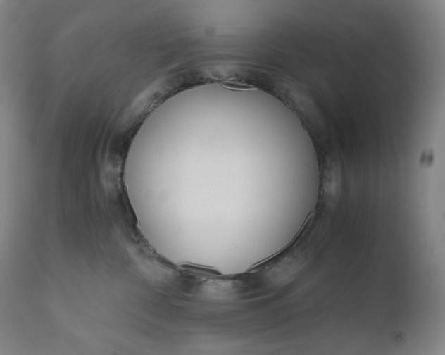 X0000110690332200907021939