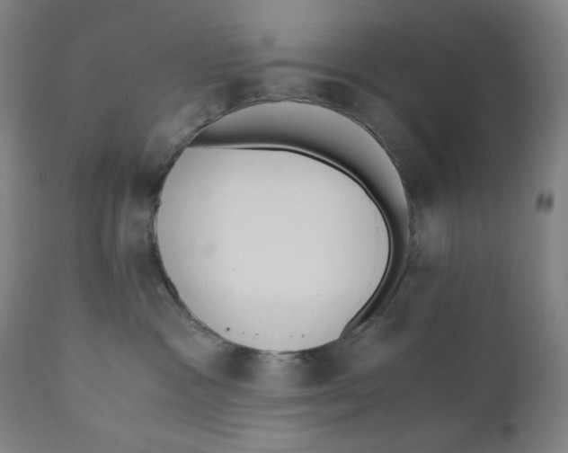 X0000110690333200907021939