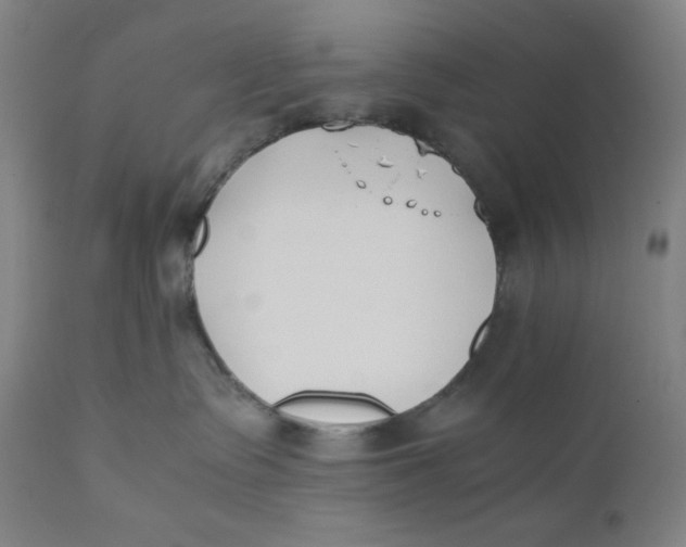 X0000110690335200907021939