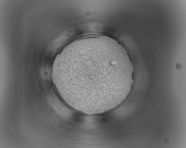 X0000110690336200907021939