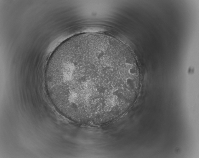 X0000110690337200907021939