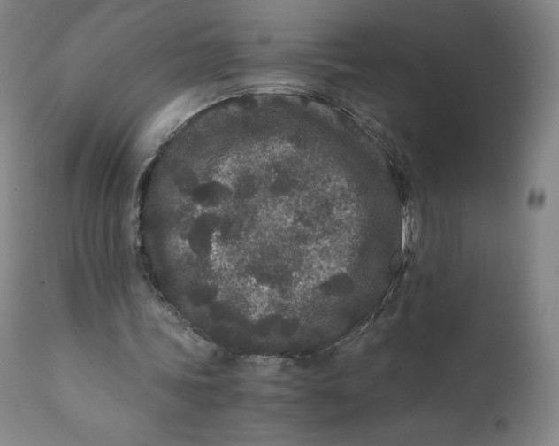 X0000110690339200907021939