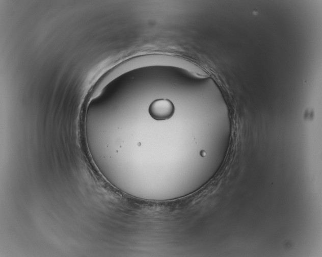 X0000110690340200907021939