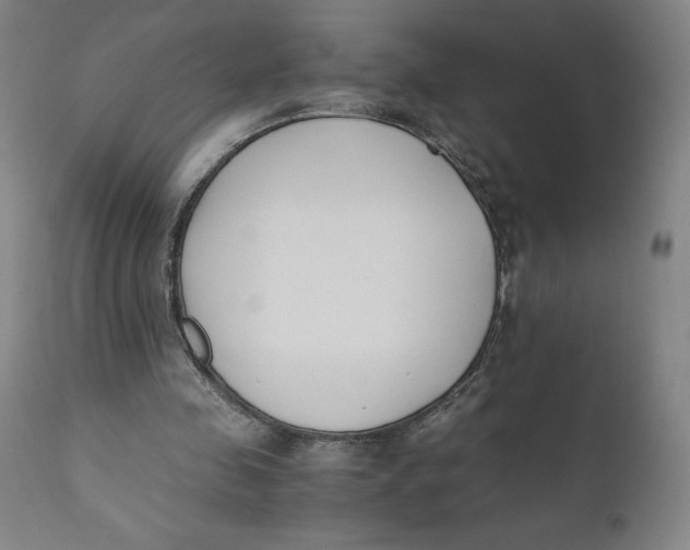 X0000110690341200907021939